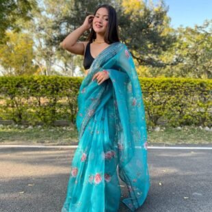 ♥️ New Design – Pure Organza Silk Saree ♥️