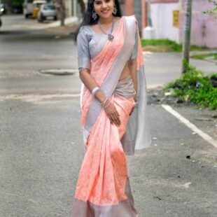 ✨ Designer Soft Lichi Silk Saree✨